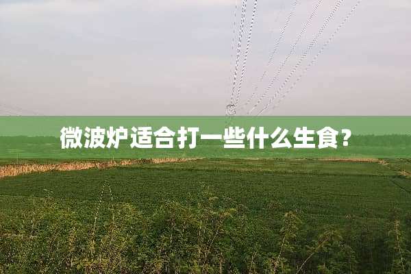 微波炉适合打一些什么生食？