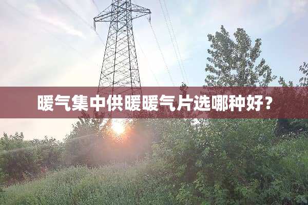 暖气集中供暖暖气片选哪种好？