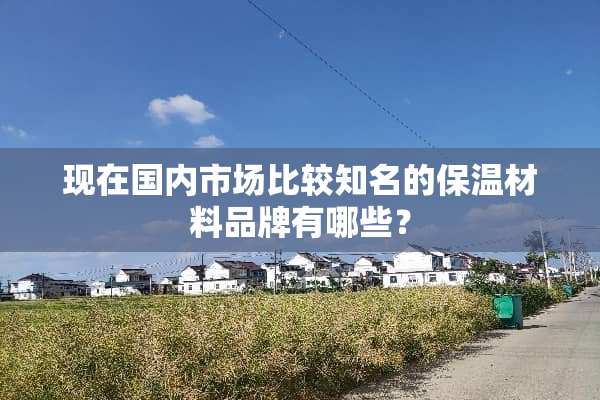 现在国内市场比较知名的保温材料品牌有哪些？