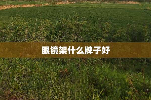 眼镜架什么牌子好