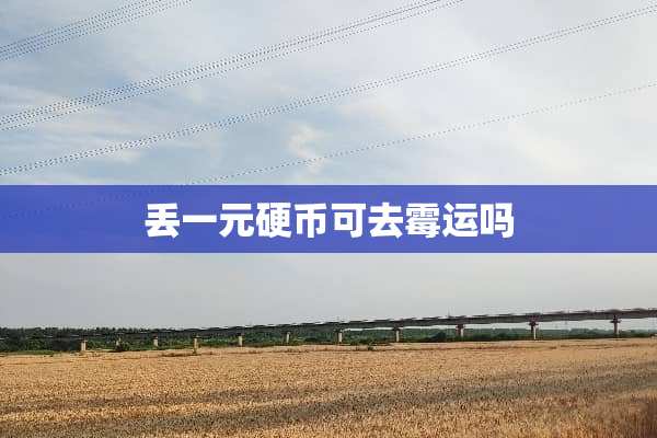 丢一元硬币可去霉运吗