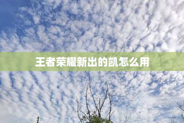 王者荣耀新出的凯怎么用