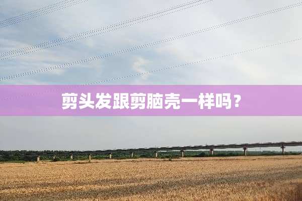 剪头发跟剪脑壳一样吗？