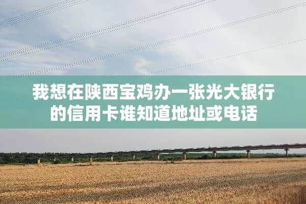 我想在陕西宝鸡办一张光大银行的***谁知道地址或电话