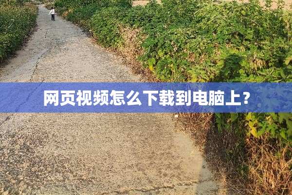 网页视频怎么下载到电脑上？