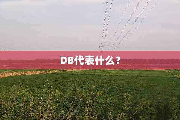 DB代表什么？