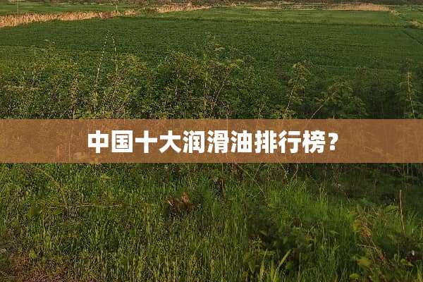 中国十大润滑油排行榜？