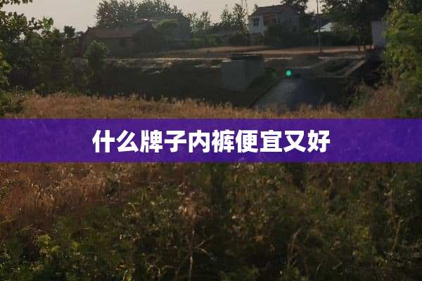 什么牌子**便宜又好