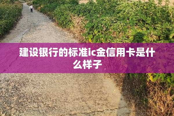 建设银行的标准ic金***是什么样子