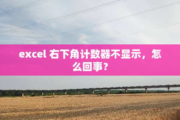 excel 右下角计数器不显示，怎么回事？