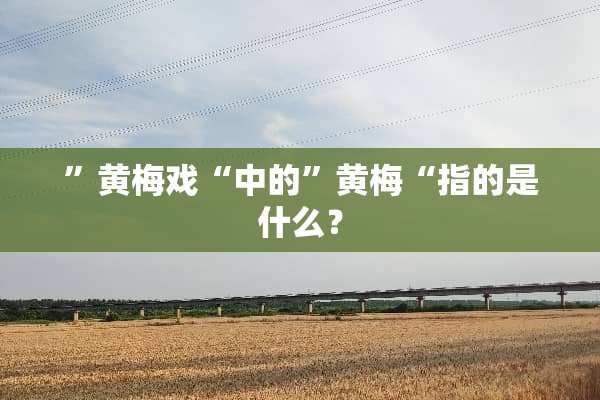 ”黄梅戏“中的”黄梅“指的是什么？