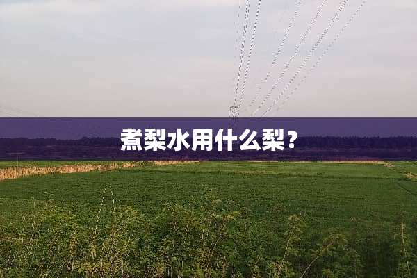 煮梨水用什么梨？