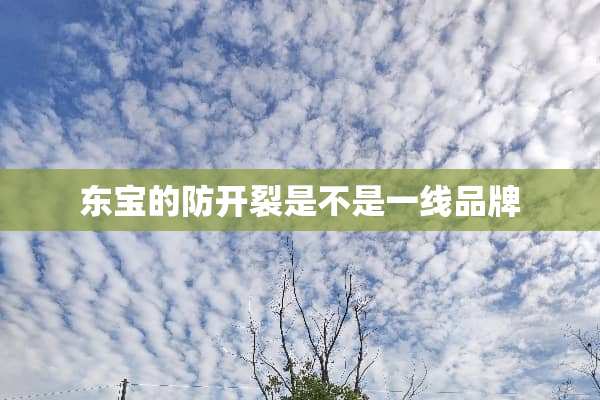 东宝的防开裂是不是一线品牌