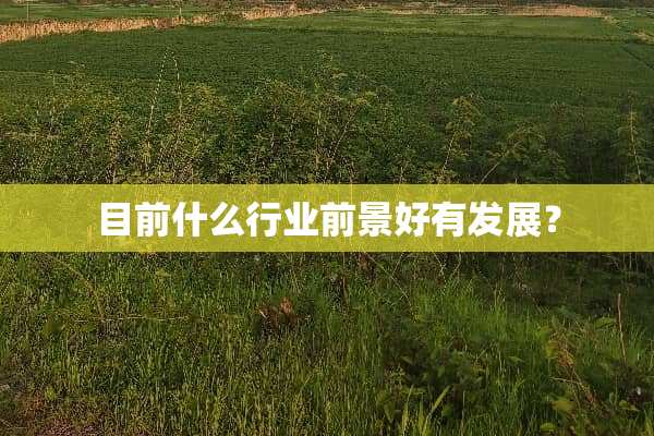 目前什么行业前景好有发展？