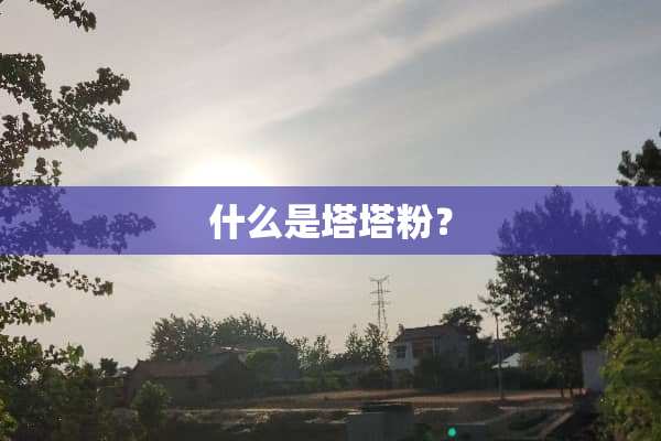 什么是塔塔粉？