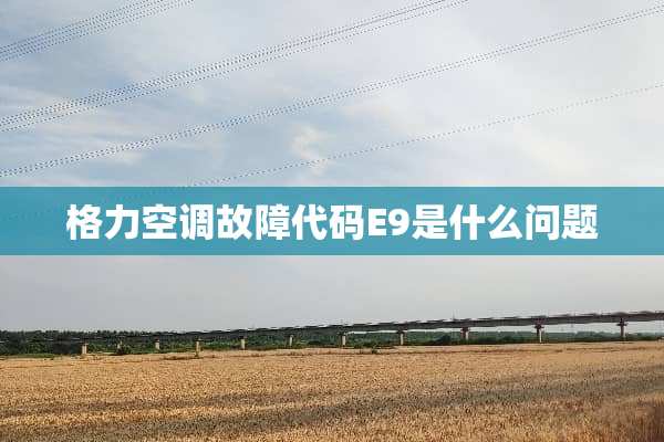 格力空调故障代码E9是什么问题