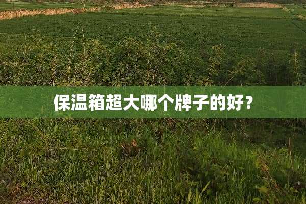 保温箱超大哪个牌子的好？