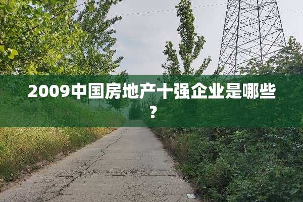 2009中国房地产十强企业是哪些？