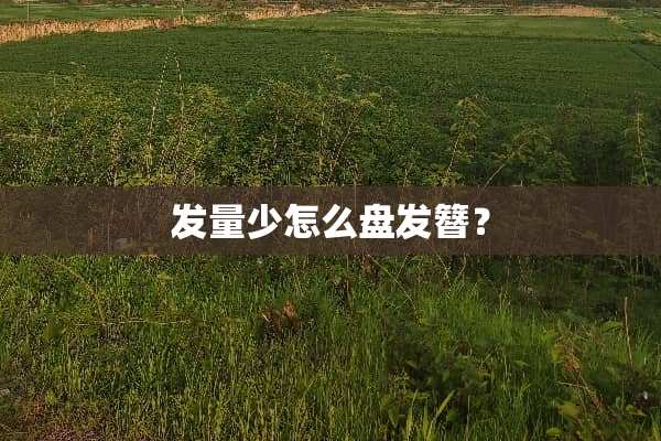 发量少怎么盘发簪？