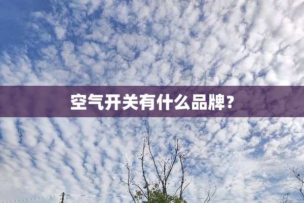 空气开关有什么品牌？