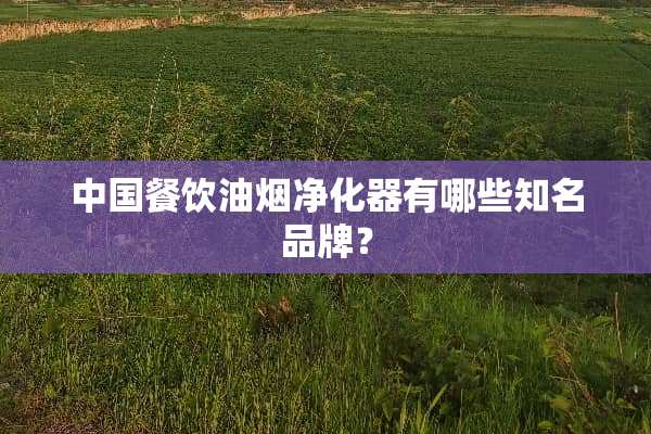 中国餐饮油烟净化器有哪些知名品牌？