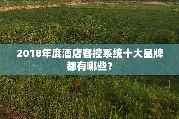 2018年度酒店客控系统十大品牌都有哪些？