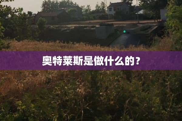 奥特莱斯是做什么的？