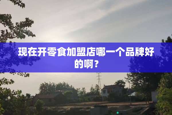 现在开零食加盟店哪一个品牌好的啊？