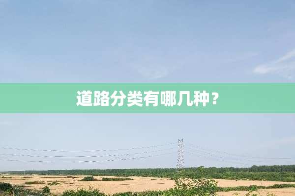 道路分类有哪几种？