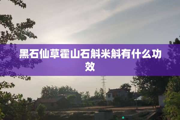 黑石仙草霍山石斛米斛有什么功效