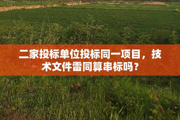 二家投标单位投标同一项目，技术文件雷同算串标吗？