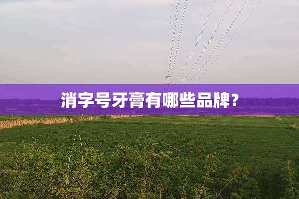 消字号牙膏有哪些品牌？