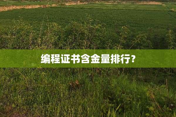 编程证书含金量排行？