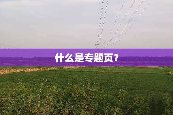 什么是专题页？