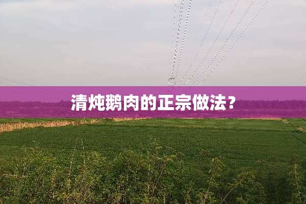 清炖鹅肉的正宗做法？