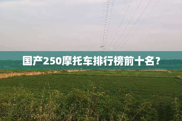 国产250摩托车排行榜前十名？