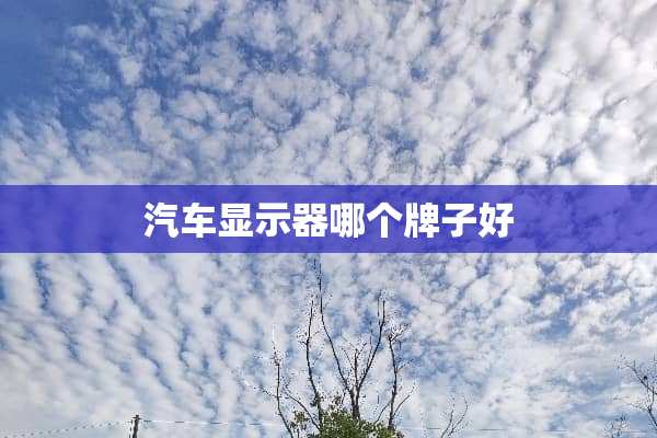汽车显示器哪个牌子好