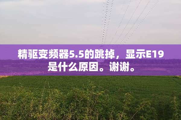 精驱变频器5.5的跳掉，显示E19是什么原因。谢谢。