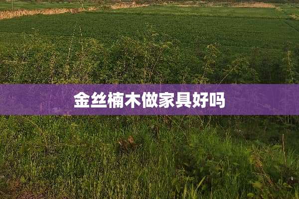 金丝楠木做家具好吗