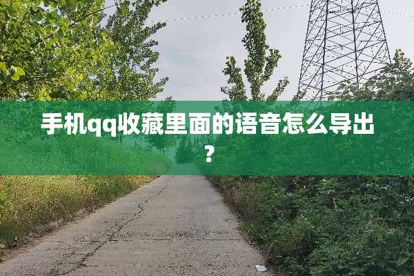 手机qq收藏里面的语音怎么导出？