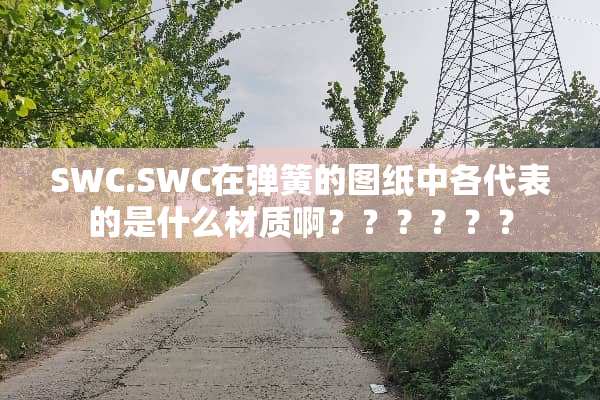 SWC.SWC在弹簧的图纸中各代表的是什么材质啊？？？？？？