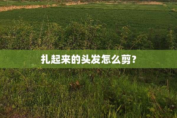 扎起来的头发怎么剪？