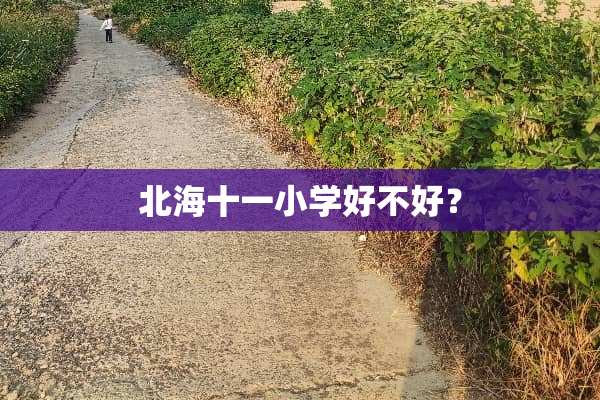 北海十一小学好不好？