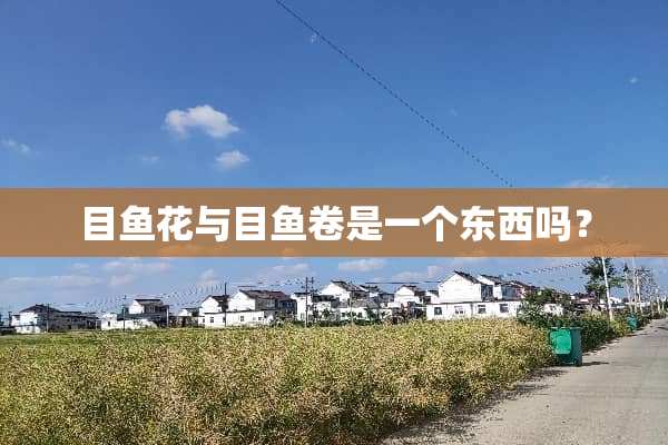 目鱼花与目鱼卷是一个东西吗？