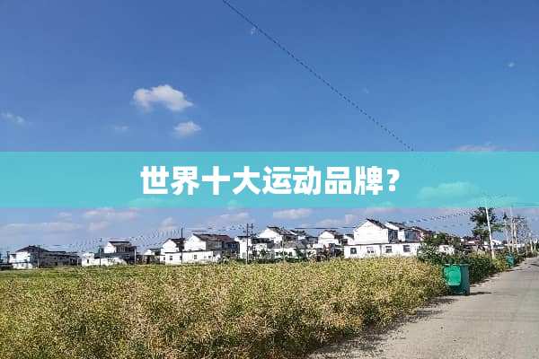世界十大运动品牌？