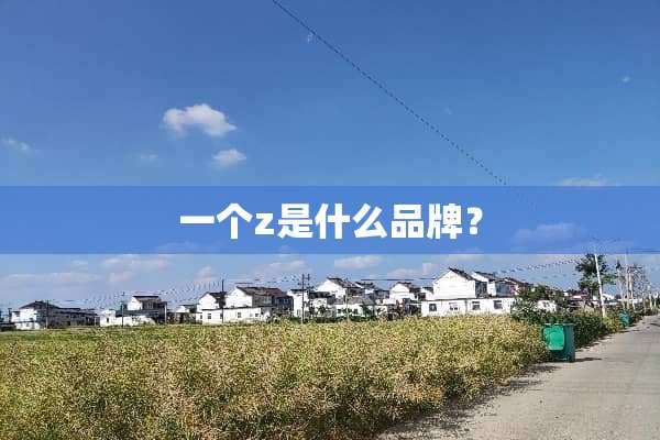 一个z是什么品牌？