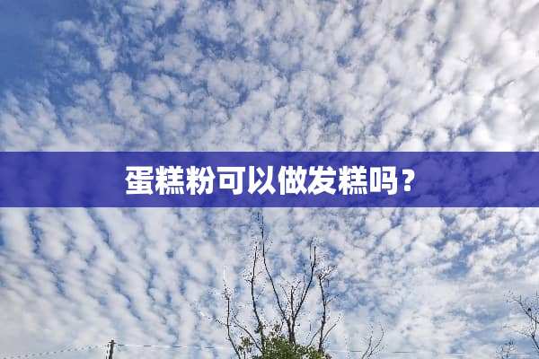 蛋糕粉可以做发糕吗？