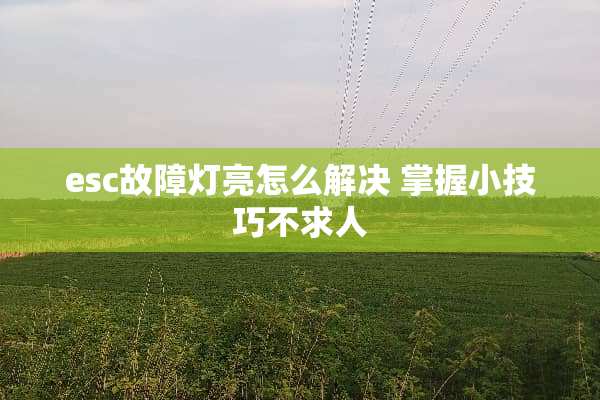 esc故障灯亮怎么解决 掌握小技巧不求人