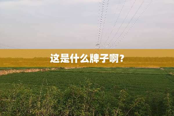 这是什么牌子啊？
