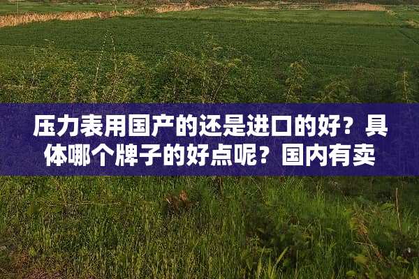 压力表用国产的还是进口的好？具体哪个牌子的好点呢？国内有卖的吗？